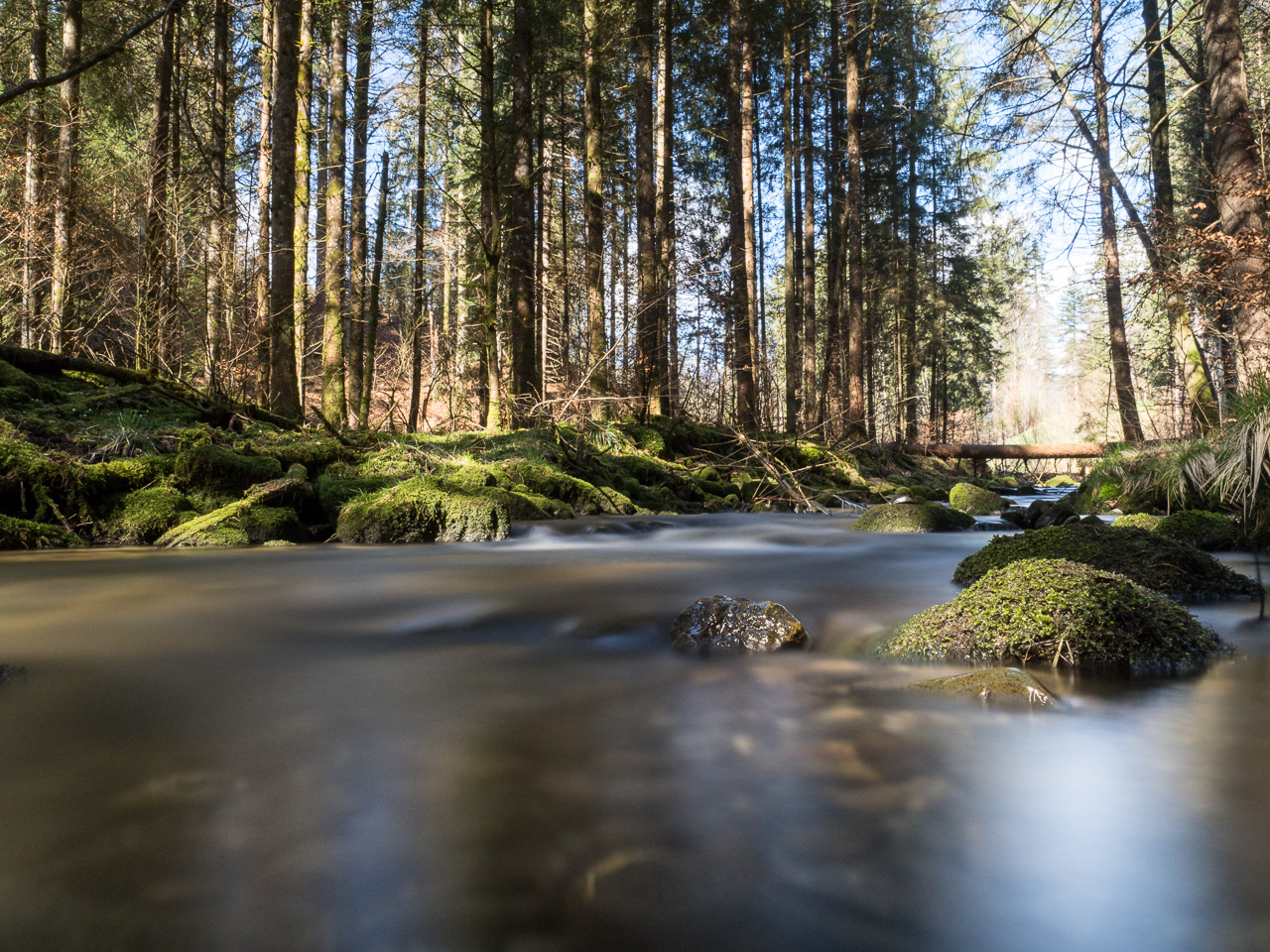 Langzeitbelichtung Rotfischbach