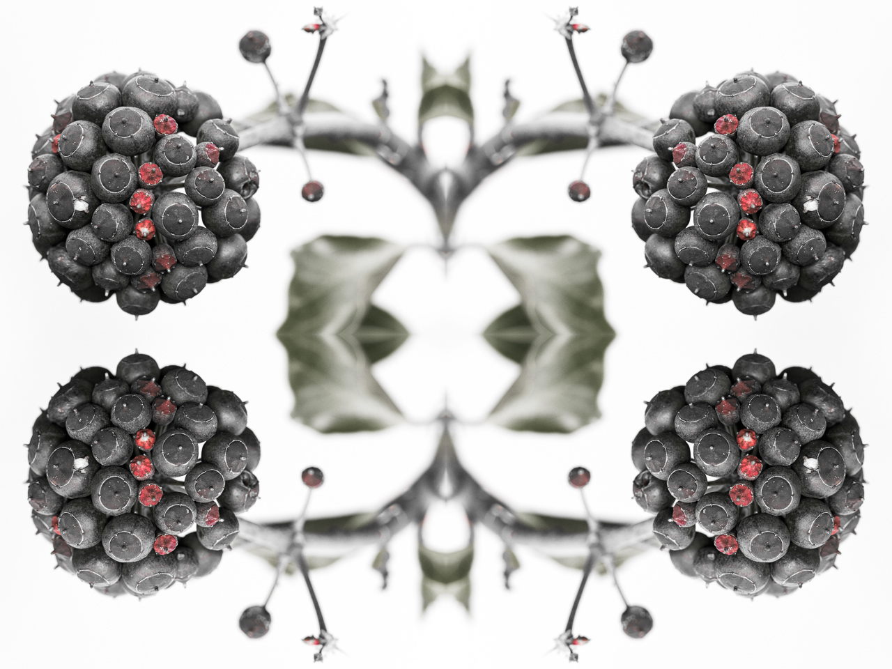 Beerencollage