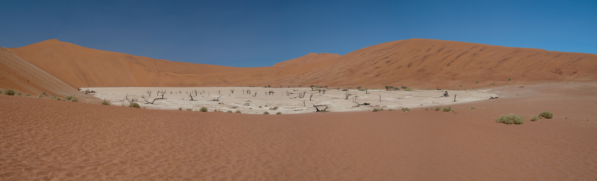 Deadvlei im Sossusvlei