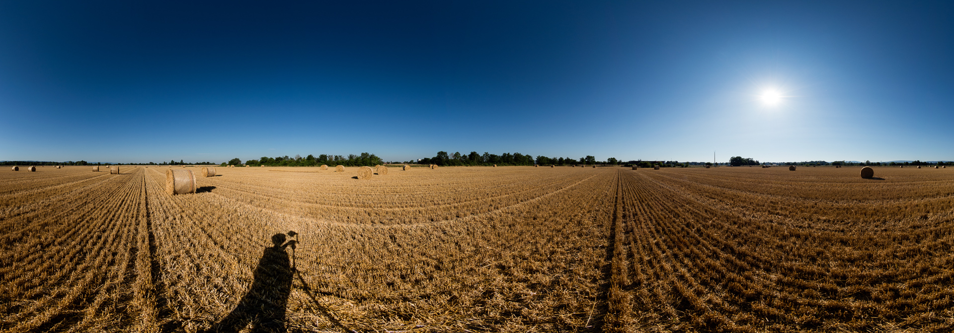 Feld in Rheinstetten