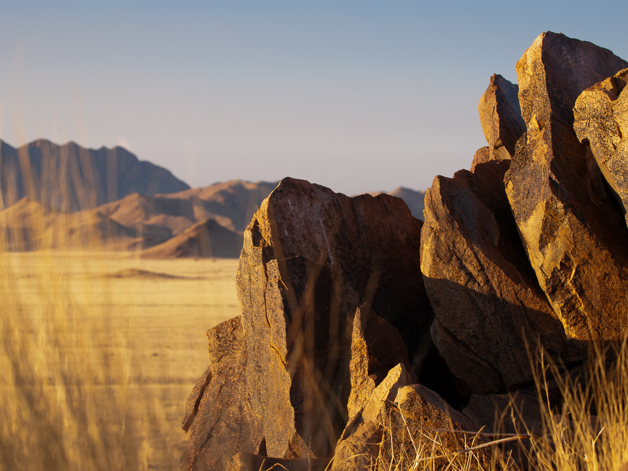 Hoodia Desert Lodge