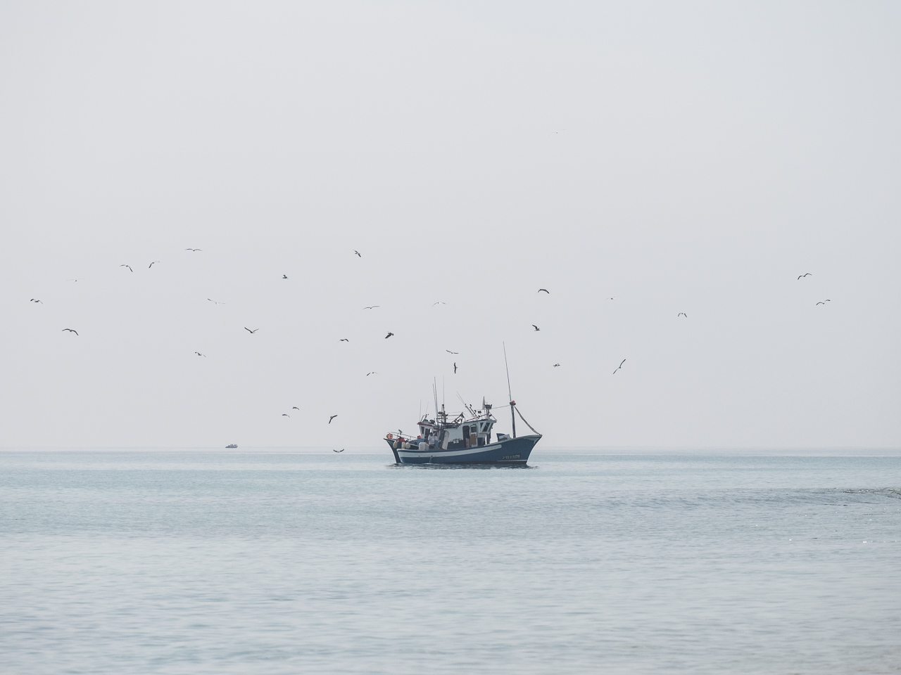 Fischerboote auf Fuerte